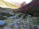 mass20 109m